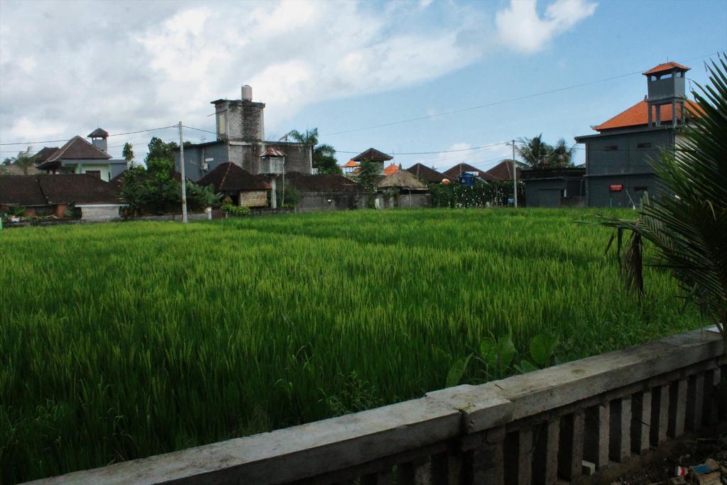 Cenik House Ubud Екстериор снимка